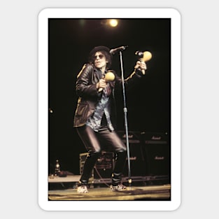 Peter Wolf Photograph Sticker